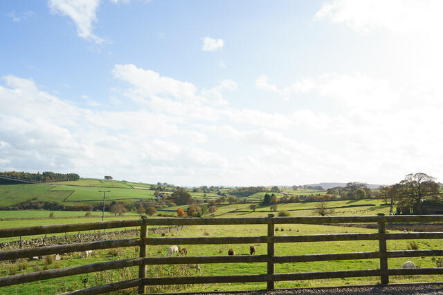 63624c22fd2430b6280a09d6_63624c2cfd2430b6280a09fa