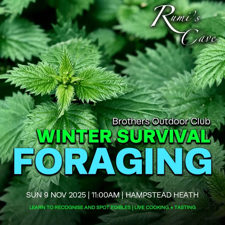 ???? Brothers Outdoor Club: Winter Survival Foraging ????